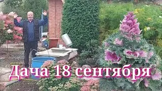24 сентября 2023 г.