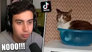 Mi editor hizo esta compilación de tiktoks si no les gusta lo despido!