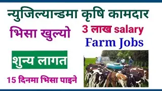 New Zealand farm jobs | work visa | uttam online