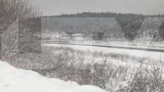 Под кунгуром замерзает лебедь