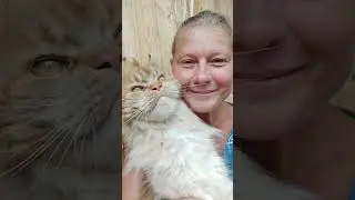 Моя любимица Тиффани.