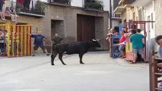 Aguaron 2017