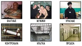 Explaining prison slang in 12 minutes