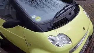 Horror Autowäsche - mit Moos & Rasen im Auto