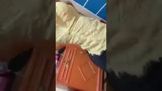 Sexy Tiktok We Like The Way She Move 