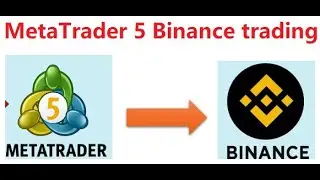 MQL Binance programming   Import MQL Binance API