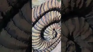 улитка из артбетона