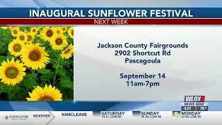 Happening Sept. 14: Sunflower Festival in Jackson County offering variety of family fun