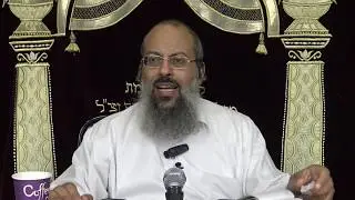 פרשת מסעי | תלות בבן הזוג | עמוד שדרה מברזל