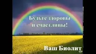 Презентация Биолита
