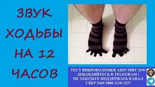 473. Ответ шумным соседям. Звук ходьбы