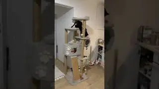 🤗 Очаровательная Луна и ее КоттЭдж 🤗