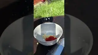 Кукуруза 🌽 на углях