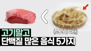 단백질이 소고기 보다 4배 많은 고단백 식품 BEST5 [음식, 식단, 간식, 요리, 다이어트, 추천]