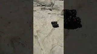 супер машина.