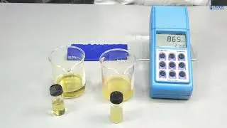WEBINAR: Proceso de Elaboración de Cerveza y parámetros que Regulan la Calidad de la Cerveza