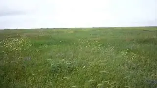 Степь 1