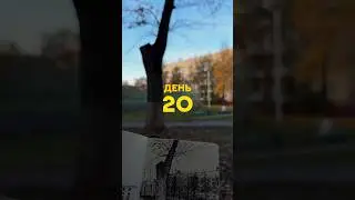 Рисую двор детства. Праздную второй юбилей. 20 день ежедневного скетчинга.
