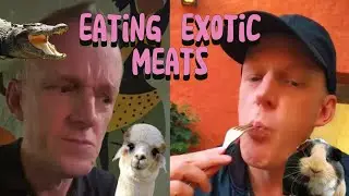 EATING EXOTIC MEATS - trying crocodile, guinea pig and alpaca in The Gambia and Peru.