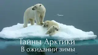 Тайны Арктики. В ожидании зимы.