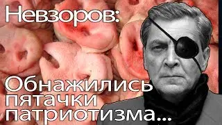 Александр Невзоров:Гиркин и Навальный обнажили пятачки патриотизма...