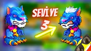 Basketbol Arena | BİG WOLF [SEVİYE 3]
