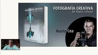PONENCIAS FAF-2020/2021 MARIO CEA