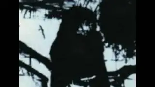 TENEBRARUM - Prisionera Gotica