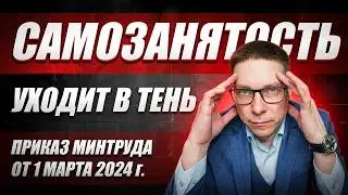 Приказ Минтруда от 1 марта 2024 | Новые правила работы с самозанятыми | Как избежать штрафов?