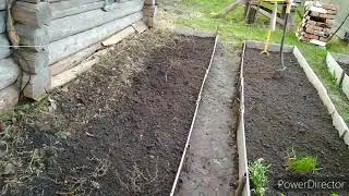 Дача, пересадка клюквы и голубики, что посадить в тенистую грядку с кислой почвой...