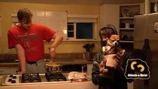 Tax & Cheese Recap Video