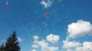 9 Мая 2015 Столбцы