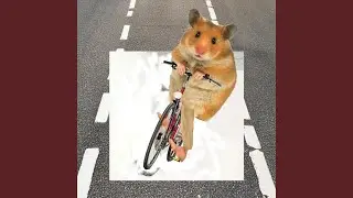 Schiffe gucken