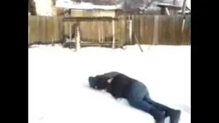 Не дошел до дома)))
