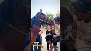 🐴❤️