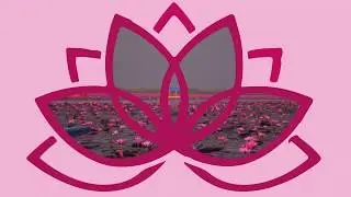 LOTUS - IVANLI X DRUIDER PROD DARYYA