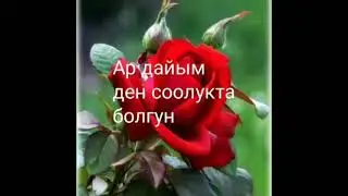 Жакшы адамдар .Бурул Раймалиева.