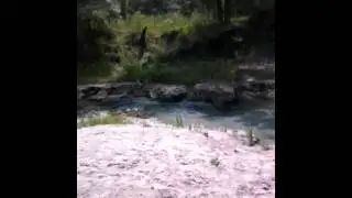 Telford springs
