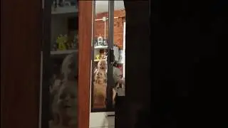 Песенка 🫣 