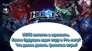 HOTS катится в пропасть. Какое будущее ждет игру и Pro лигу? Что далее делать фанатам игры?