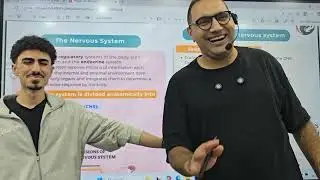 ANS Crash Course-1 Kasr alainy 199 