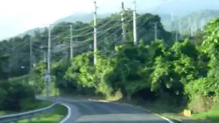 El Yungue Rainforest 3