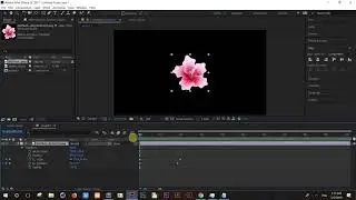 How to use Scale, Opacity, Rotation and Position in After Effects