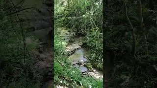 Провал. Поэзия Бян-Кин-До.