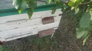 продолжение и предсказуемый результат