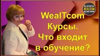 WealTcom КУРСЫ ЧТО ВХОДИТ В ОБУЧЕНИЕ