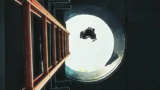 two birds. (clips in desc)