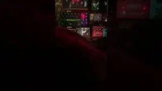 Pets?  - Porno for pyros guitar