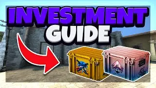 NEW CASE CSGO Investment Guide | 2022