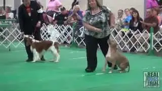 2015 UKC PREMIER | United Kennel Club